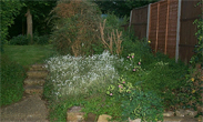 The chosen area for the observatory before carrying out any work.